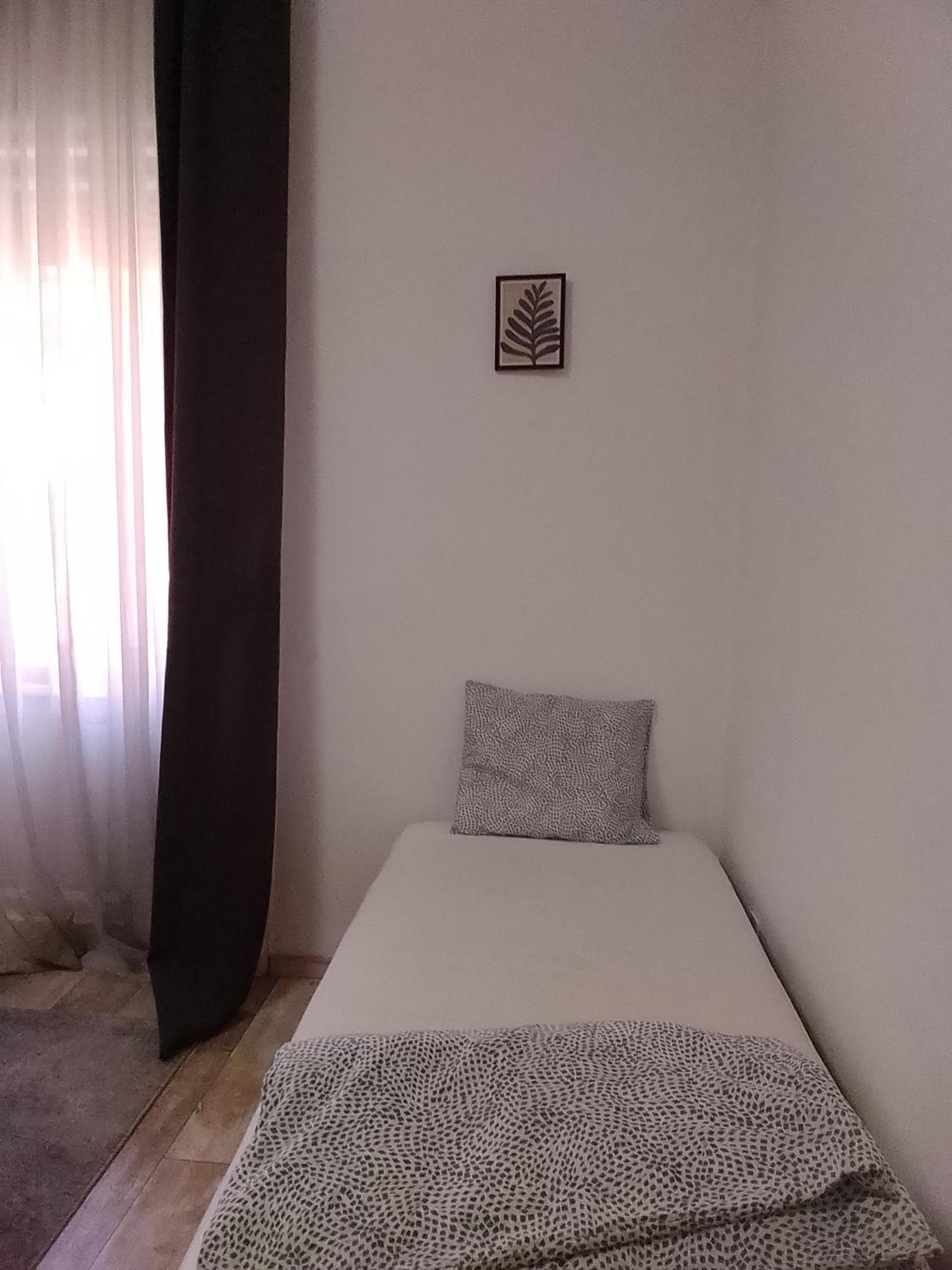 Viva * Budapeste